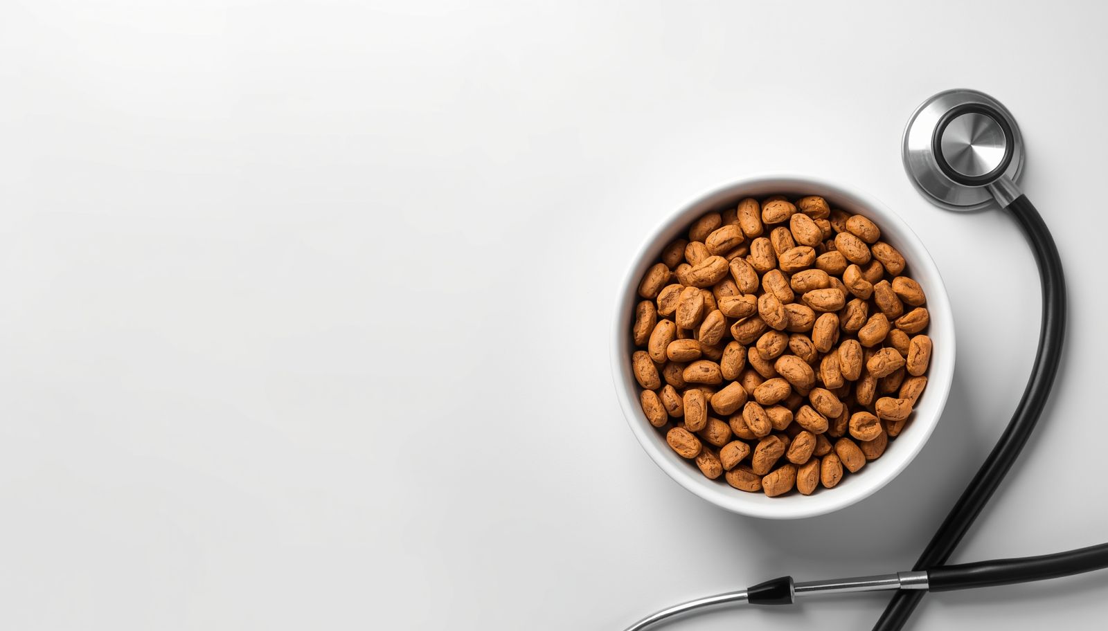 Bol de comida saludable para mascotas junto a un estetoscopio, representando la nutrición como medicina.