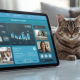 Pantalla de tablet mostrando interfaz de telemedicina con un gato relajado en casa y gráficos de salud.