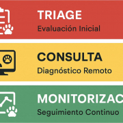 Infografía sobre el flujo de telemedicina: Triage, Consulta y Monitorización.