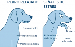 Infografía detallando señales de estrés: bostezos, lamido de trufa y mirada de ballena.