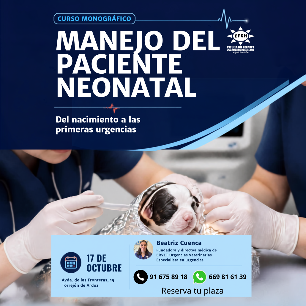 manejo paciente neonatal