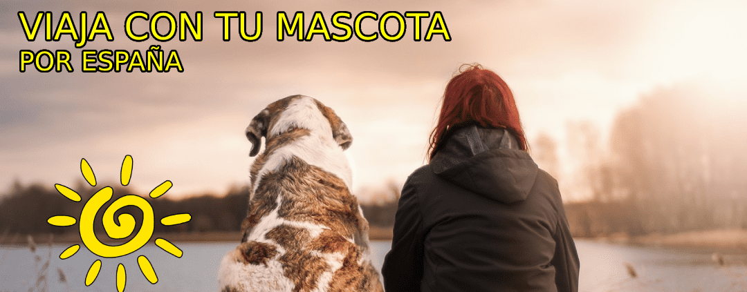 Humano y perro mirando hacia un lago